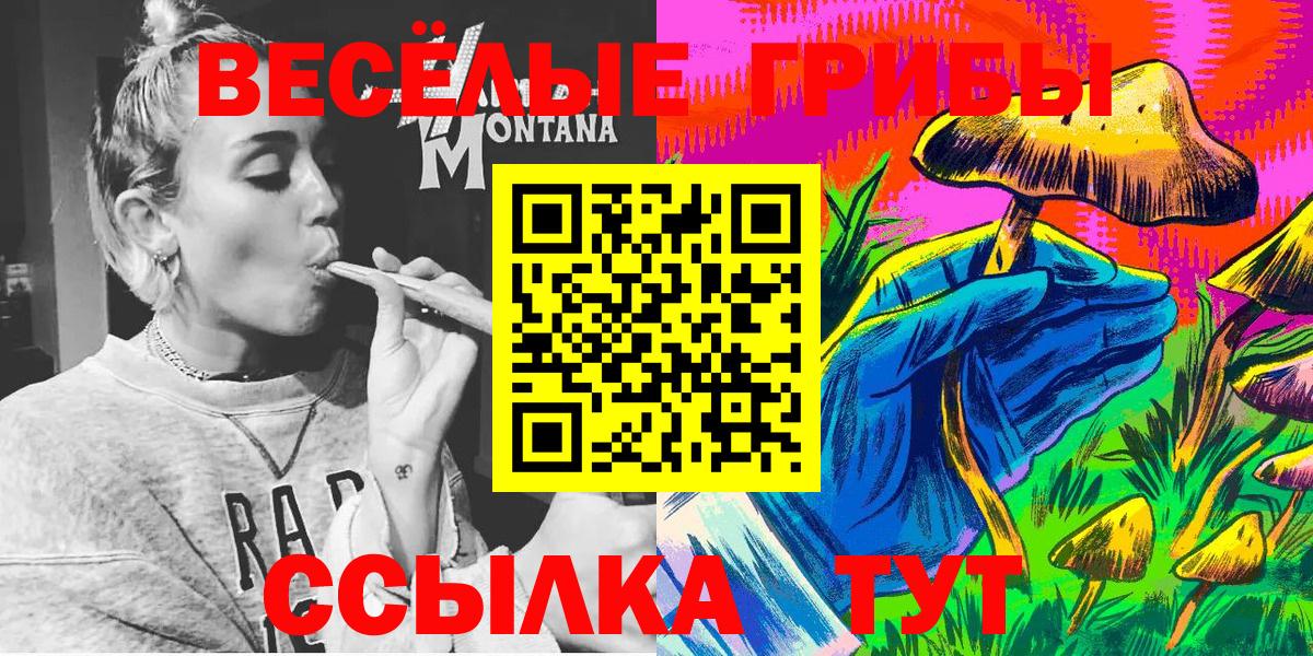Галлюциногенные грибы Psilocybe  Вход с VPN  Галлюциногенные грибы ЛСД  Борзя 